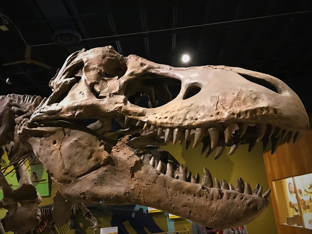 T. Rex Facts: King of the Dinosaurs and the Most-Studied Predator in Paleontology